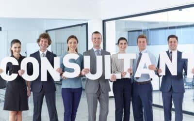 What Does a Business Consultant Do? Roles, Skills & Types